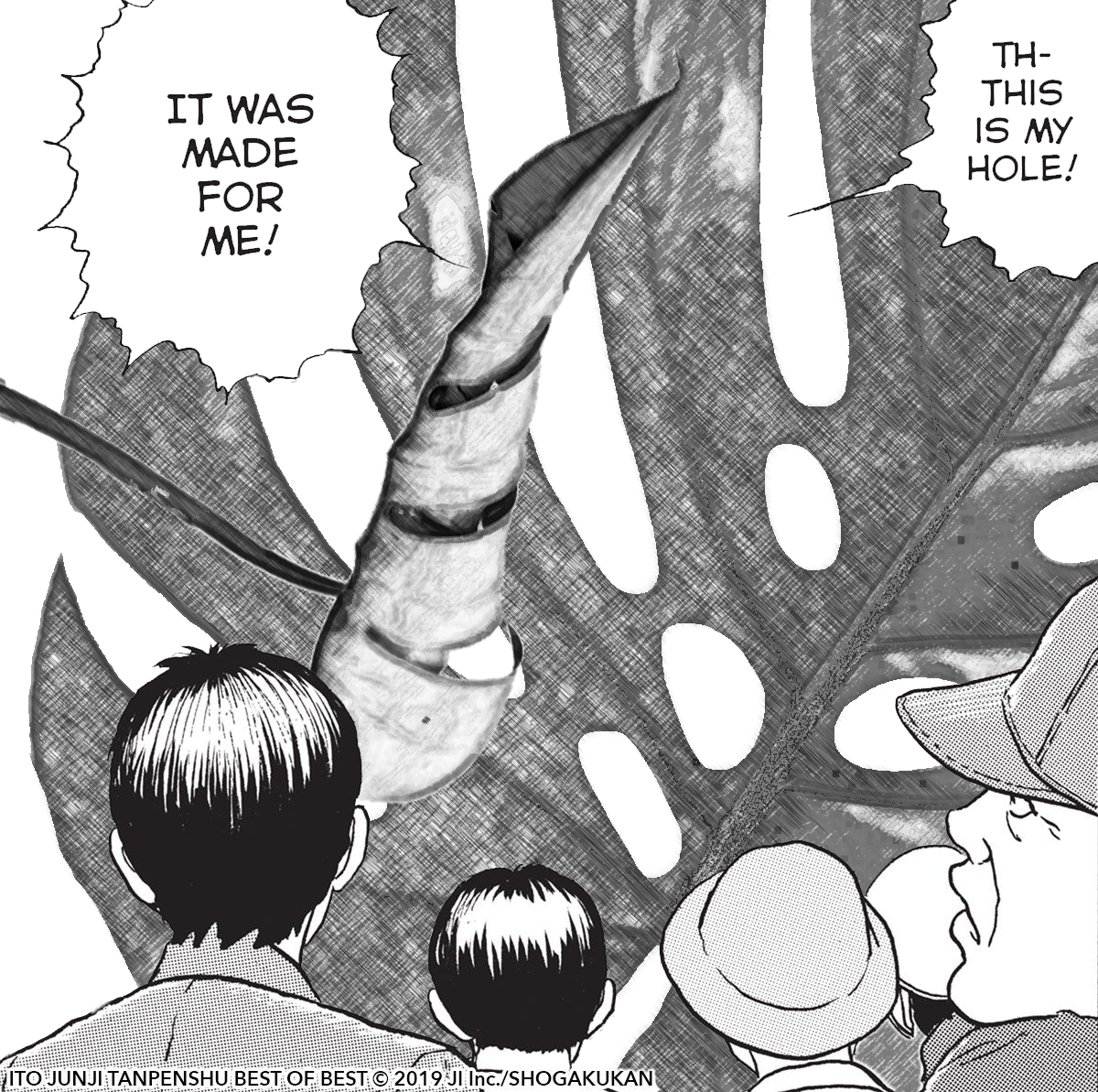 The infamous Junji Ito panel: 'Th-This is my hole! It was made for me!'